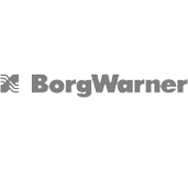 Borg